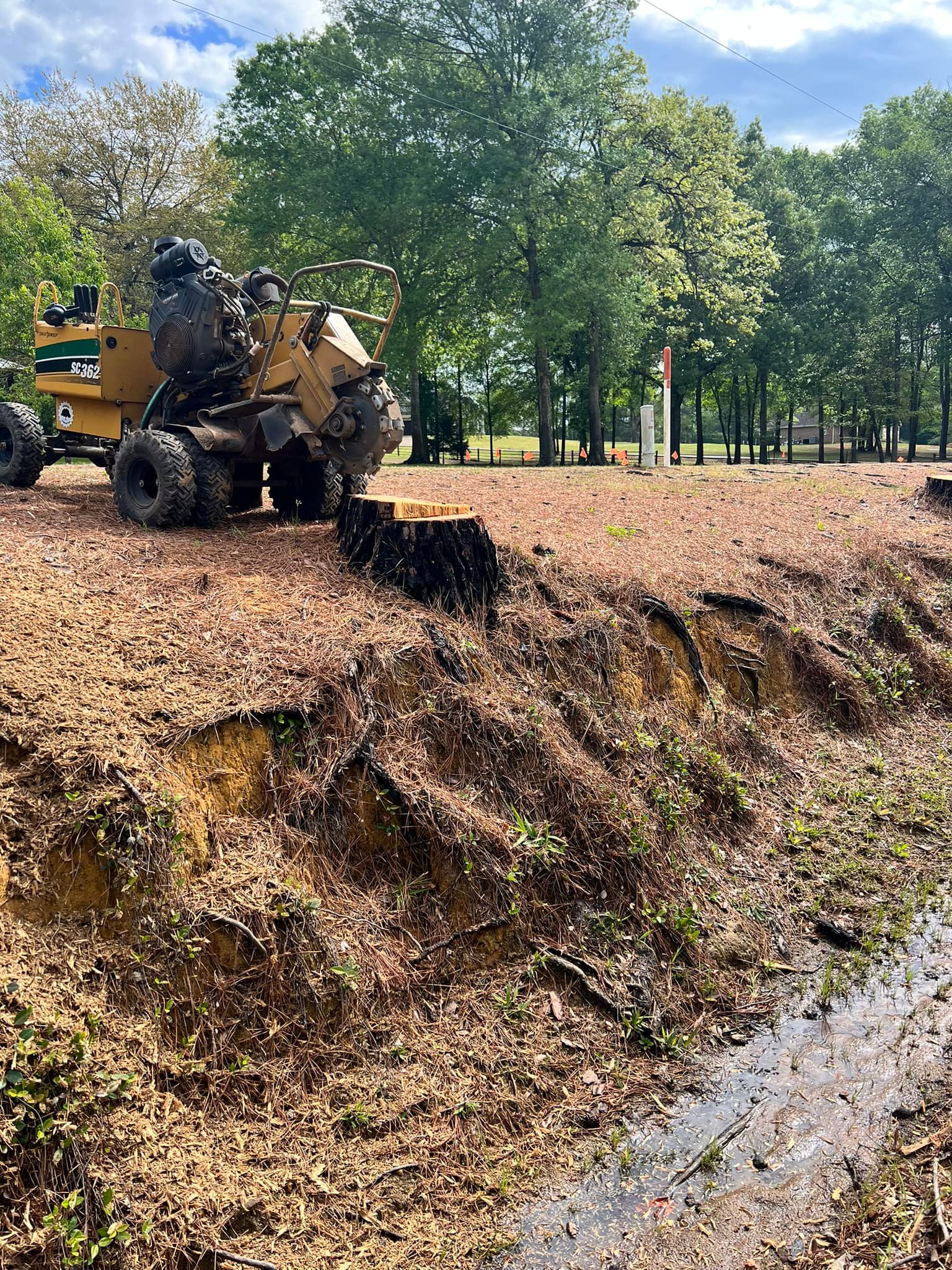 474751274_609256054987493_994892453460846411_n