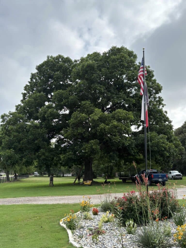 508682631_713706097875821_6245984571272237441_n